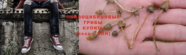 молекула духа Алексин