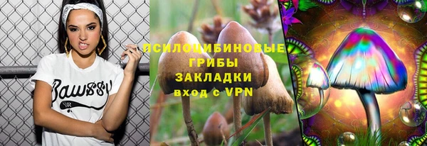молекула духа Алексин