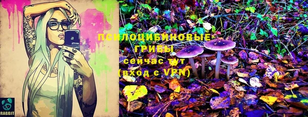 амф Абаза
