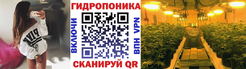 Бошки марихуана AK-47  Цоци-Юрт 
